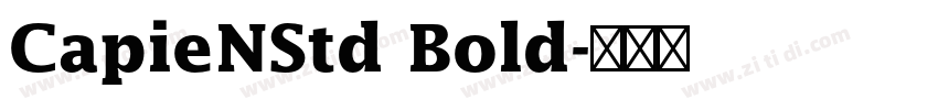 CapieNStd Bold字体转换